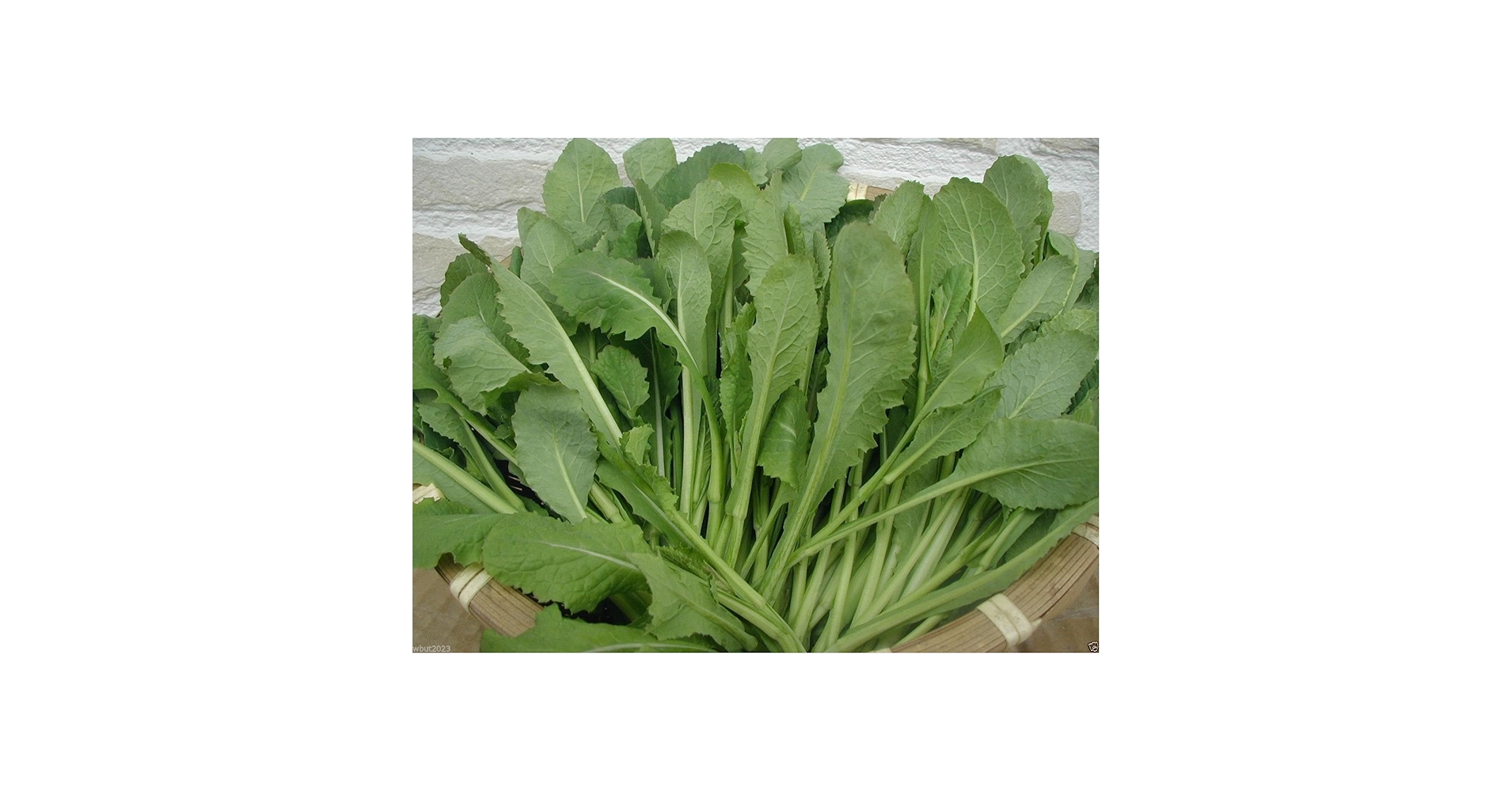 コレクション SAYURAN Amazon.com : 30 Packs of Deluxe Valley Greene Heirloom
